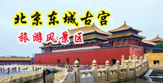 女人扣屄边喷水露咪咪的视频中国北京-东城古宫旅游风景区